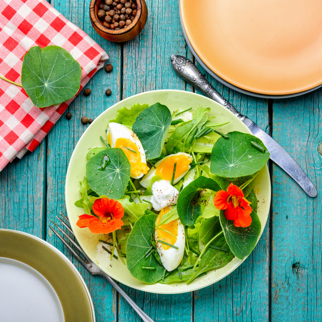 Grow A Salad Garden Collection