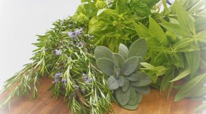Aromatic Herbs