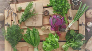 Culinary Herbs