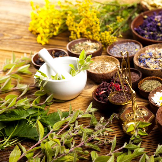 Herbalist Starter Collection