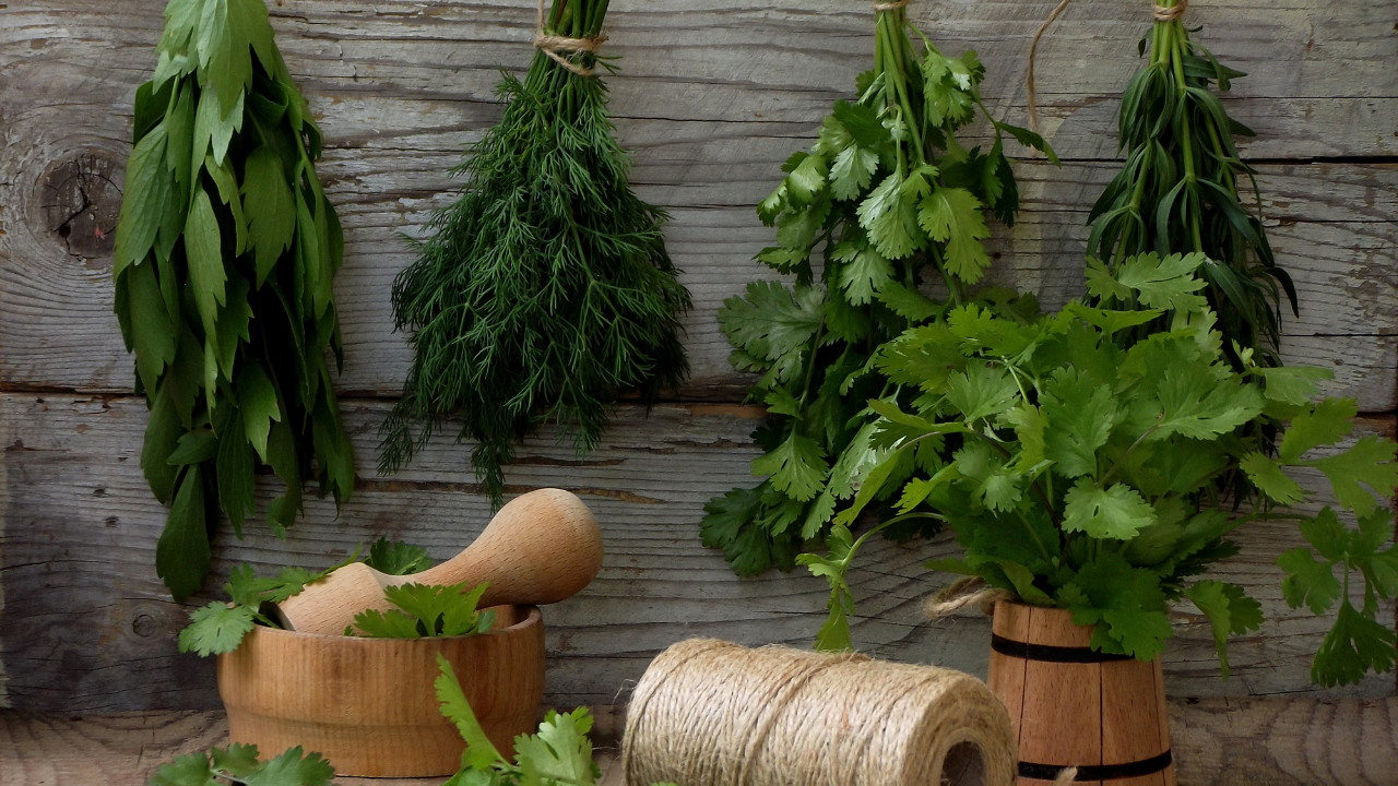 Herb Plants Online The Growers Exchange