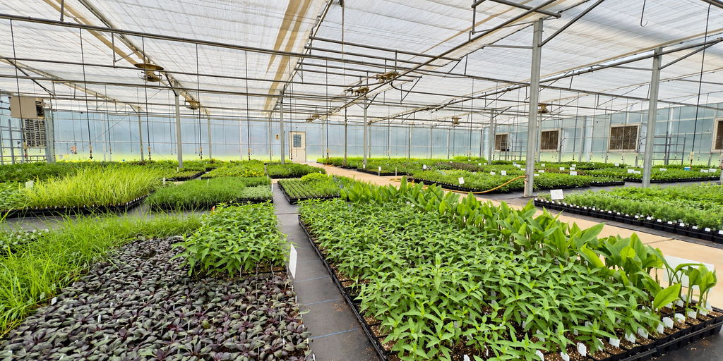 A Greener Way to Grow