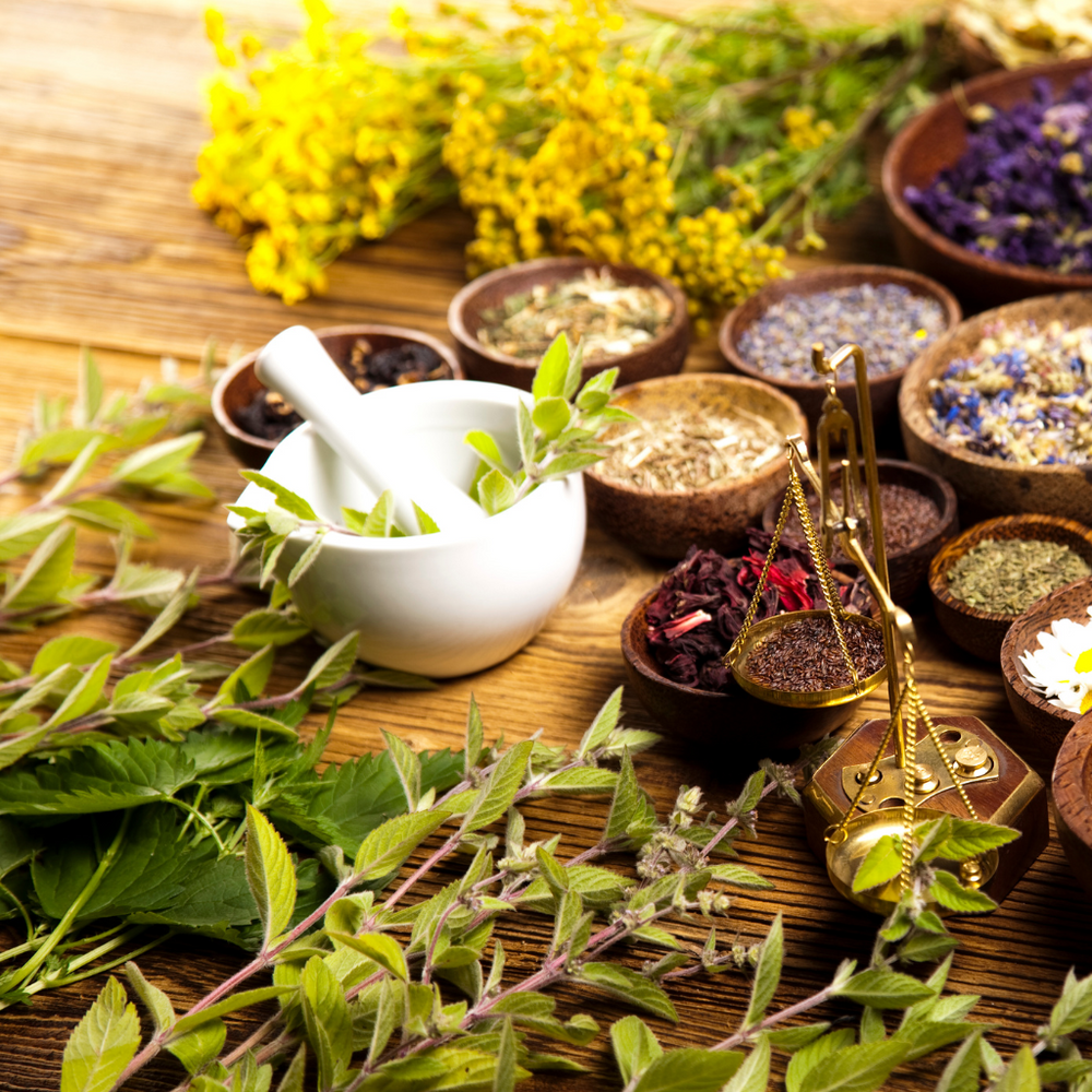 Herbalist Starter Collection
