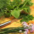 Culinary Herb Collection