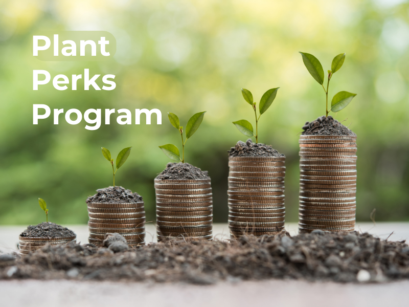 Herb Kits Bundle of Herbs for Sale The Growers Exchange