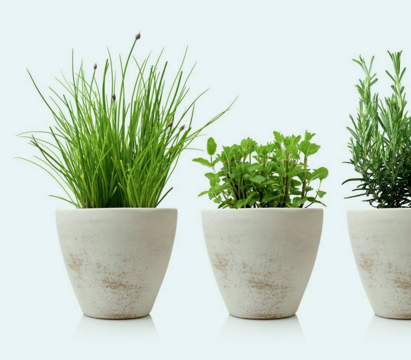 Pots